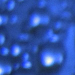 ZRAMO® Pop Filter for Blue Yeti Pro Microphones Pop Filter Blue Color Foam Windscreen Designed to fit the Blue Yeti, Yeti Pro Condenser Microphone