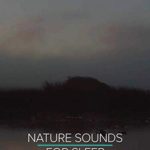 Nighttime Nature Sounds for Sleep 9 Hours