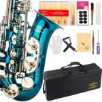 Glory Light Blue/Silver keys E Flat Alto Saxophone with 11reeds,8 Pads cushions,case,carekit-More Colors with Silver or Gold keys