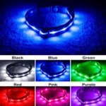 Blazin’ Safety LED Dog Collar – USB Rechargeable with Water Resistant Flashing Light – Large Blue