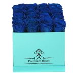 Premium Roses| Real Roses That Last a Year | Fresh Flowers| Roses in a Box (Blue Box, Medium)