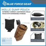 MOLLE Dump Pouch by Blue Force Gear | Compact Storage for Mags (Multicam Camo)