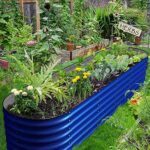 OLLE Galvanized Raised Garden Beds Outdoor Plant Boxes Outdoor Garden 17″ Tall Metal Raised Garden Bed 12-in-1 Garden Beds Outdoor for Vegetables, Cobalt Blue 17″ Tall