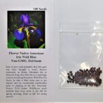 Flower Native American Iris Wild Blue FBA-7611 (Blue) 100 Non-GMO, Heirloom Seeds
