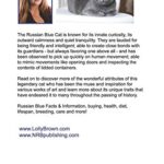 Russian Blue Cats as Pets: Russian Blue Facts & Information, buying, health, diet, lifespan, breeding, care and more! A Russian Blue Cat Care Guide