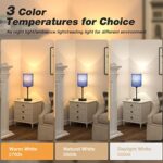 Blue Table Lamps 3 Color Temperatures – 2700K 3500K 5000K Bedside Lamps with USB C and A Ports, Pull Chain Lamps for Bedrooms with AC Outlet, Nightstand Lamps with Black Metal Base for Kids Boys