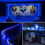 Aigleya Blue Rope Lights , 40 ft 120 LED Strip Lighting with Remote Control, 8 Modes Outdoor Battery Operated Fairy String Lights for Party Yard Home Wedding Christmas Halloween Holiday Decoration…