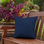 Arden Selections Outdoor Toss Pillow (2 Pack) 16 x 16, Sapphire Blue Leala