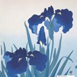 Sketchbook: Blue Iris Flower Themed Notebook for Drawing, Doodling, Sketching, Painting, Calligraphy or Writing