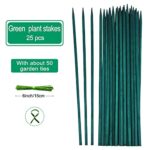 BLUE TOP Green Bamboo Plant Stakes Garden Stakes 13.8 Inch 25 PCS,Wood Stakes for Garden/Vegetables/Floral, Bamboo Plant Support with 50 Garden Ties, Sign Posting Garden Sticks