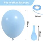 RUBFAC 65pcs Pastel Blue Latex Balloons, 12 Inches Helium Party Balloons with Ribbon for Wedding, Birthday, Graduation, Baby Shower, Bridal shower