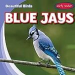Blue Jays (Beautiful Birds)