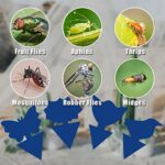 36 Pack Fungus Gnat Traps for House Plants, Blue Sticky Traps for Indoor Outdoor Use to Get Rid of Whitefly Mosquitoes Fungus Gnats Thrips Leafminer Flying Insects Protect Your Plants