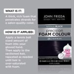 John Frieda Precision Foam Colour, Blue Black 2A