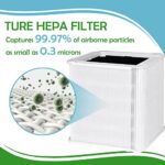 Blue Pure 211+ True HEPA Replacement Filter Compatible with Blueair Blue Pure 211+ and Max Air Purifier, 3 Pack