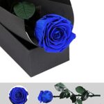 Preserved Rose, Preserved Flowers for Delivery Prime, Single Rose Flower Gifts for Women, Real Rose Gifts for Her, Birthday Gifts, Valentines Flowers for Girlfriend – Blue Rose