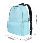 Vorspack Backpack Lightweight Backpack for College Travel Work for Men and Women – Aqua Blue