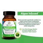 Life Infused Algae Infused – Premium Green Superfood Blend with Organic Blue-Green Algae (AFA), Spirulina, Chlorella, Probiotics & Enzyme for More Energy, Digestion, Detox & Immune Support: 60 Caps