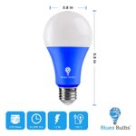 2 Pack BlueX LED A21 Blue Light Bulbs – 15W (120Watt Equivalent) – E26 Base Blue LED Blue Bulb, Party Decoration, Porch, Home Lighting, Holiday Lighting, Decorative Illumination Blue LED Bulb