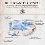 Ayana Crystals Blue Kyanite Earrings – Align Chakras, Enhance Intuition, Genuine Blue Stone, Spiritual Jewelry, Dangle Earrings for Women, Ethically Sourced