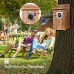 Bird Houses for Outside with Metal Predator Guard for Bluebird Wren Swallow Finch, Carbonized Wooden Nesting Boxes for Outdoor, Sturdy Bird House,Easy to Clean