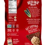 Garden of Eatin’ Tortilla Chips, Red Hot Blues, Sea Salt, 16 oz. (Pack of 12) (Packaging May Vary)