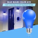 Wiyifada 2 Pack A19 LED Blue Light Bulbs,110V E26 Christmas Blue LED Lights 9W Replace up to 100W, Colored Light Bulbs for Thanksgiving Day, Home Lighting, Party Decoration, Holiday Lighting