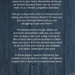 Losing My Best Friend: Thoughtful support for those affected by dog bereavement or pet loss