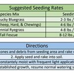 Pendelton Turf Supply Burlingham Seeds Blue Magic Overseed Mix | 70percent Kentucky Bluegrass 30percent Perennial Ryegrass | Blue TAG Certified Grass Seed (50 lbs (20,000 sq ft)), Brown