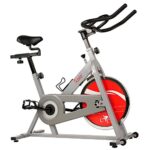 Sunny Health & Fitness Spin Bike Indoor Cycling Exercise Spinning Bike, silver (SF-B1001S)