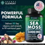 Sea Moss Capsules – Irish Sea Moss Advanced with Burdock Root, Bladderwrack & Muira Puama for Immunity, Gut, & Energy – Superfood Sea Moss Supplements w/Raw Sea Moss Powder – 120 Irish Seamoss Pills
