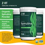 Zint Spirulina Powder, Organic (12 oz): Premium Immune Support Supplement, Blue-Green Algae, Immunity Booster, Non-Irradiated Vegan Protein
