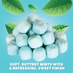 It’s a Boy Blue Buttermints Baby Shower Candy, Fat-Free, Gluten-Free, Bulk Pack 24 Ounce