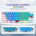 Fogruaden 60% Mechanical Keyboard, 61 Keys Gaming Keyboard, RGB Backlit, Compact 60 Percent Wired Keyboard for Win/Mac PC Gamer, Easy to Carry on Trip (Blue,Blue Switch)