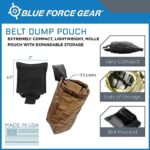 Blue Force Gear Belt Dump Pouch – Ranger Green, MOLLE Pouch, Ten-Speed Belt Pouch, Professional-Grade Mesh Dump Pouch – 3 x 3.5 x 1 Inches