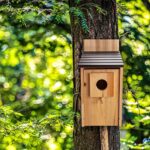 CARTMAN Cedar Blue Bird Box House, Wood Bird Houses for Outside, Hummingbird House for Outside Clearance Garden Country Cottages, 2PK