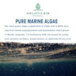 Alkaline Rock Stars Blue Green & Red Algae Supplement – 500mg | Pure Marine Phytoplankton Plus Astaxanthin | Rich in Antioxidants, Chlorophyll, & Vegan Omega 3’s | 30 Day Supply (40 Capsules)