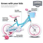 JOYSTAR 14 Inch Girls Bike Toddler Bike for 3 4 5 Years Old Girl 14″ Kids Bikes for Ages 3-5 yr with Training Wheels and Basket Children’s Bicycle in Blue