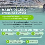 MAJU’s Organic Spirulina Powder .5 lb, Microcystin Free, Non-Irradiated, Preferred to Chlorella, Preferred to Hawaiian & Blue Algae, Pure Vegan Green Protein