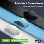 LORERAN Wireless Gaming Mouse, 3 Modes 4800 DPI Bluetooth/2.4G/Wired Mouse with Type-C Rchargeable Nano Receiver 6 DPI Levels, 6 Macro Buttons, RGB LED Backlit & Pro Software/Drive for PC/Mac/Laptop