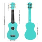 POMAIKAI Soprano Ukulele for Beginners, Guitar 21 Inch Ukelele Instrument for Adults Wood Guitar Small Hawaiian Ukalalee Starter with Gig Bag (Light Blue)