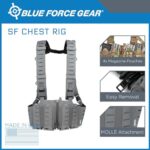 Blue Force Gear Ten-Speed SR25 Chest Rig – Wolf Gray – MOLLE Vest, Chest Pack, Military-Grade – 2 x 5 Inches Sides, 1 x 6 Inches Mag Pouches
