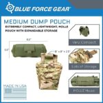 Blue Force Gear Medium Dump Pouch – 2 x 2 MOLLE Panel – OD Green – MOLLE Pouch, Easy Attach, Made in USA Utility Bag – 3 x 3.5 x 1 Inch