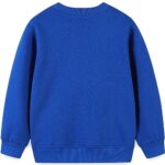Funnymore Toddler Kid’s Boy’s Clothes Sweatshirt,Fall Winter Long Sleeve Shirt Sweater Top Blue Lizard 4t
