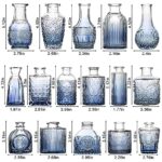 Arme Bud Vase Set, 16 Pcs Blue Vases Clear Flower Vase in Bulk, Little vases for Flower Vintage Small Glass Bud Vases for Centerpieces, Mini Flower Vases for Wedding Decor, Home Table Flower Décor