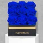 NATROSES Forever Preserved Roses in a Box, 100% Real Roses That Last Up to 3 Years, Flowers for Delivery Prime Birthday, Valentines Day Gifts for Her, Birthday Gifts (Royal Blue)