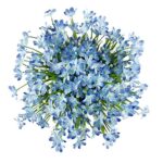 URSTOUD 6 Bundles Artificial Daffodils Flowers, Fake Artificial Greenery UV Resistant No Fade Faux Plastic Plants for Wedding Bridle Bouquet Indoor Outdoor Home Garden Kitchen Office Table Vase (Blue)