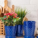 BUYMAX Ceramic Plant Pots –5 inch Indoor Flower Pot with Drainage Hole and Ceramic Tray – Gardening Home Desktop Office Windowsill Decoration Gift, Set of 4-Plants NOT Included(Blue)