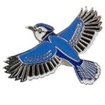 Dark Spark Decals Blue Jay Bird 1.25″ Enamel Pin – Great Gift