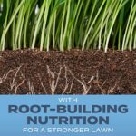 Scotts Turf Builder Grass Seed Kentucky Bluegrass Mix with Fertilizer and Soil Improver, Grows Dense, Green Turf, 5.6 lbs.